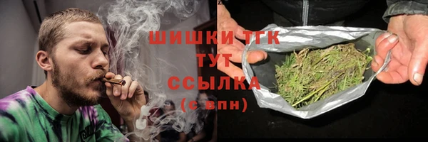 эйфоретик Аркадак